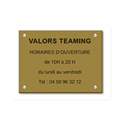 Plaque personnalisable 5 lignes - Format 30 x 20 cm